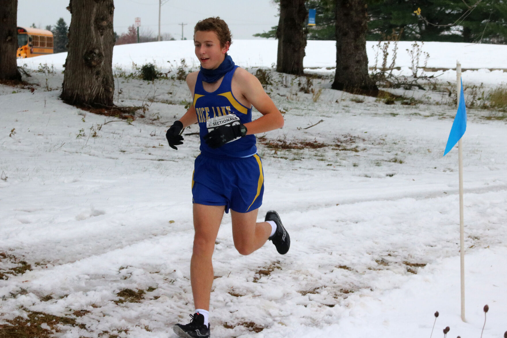 Division 1 cross country sub-sectional at RIce Lake 10-21-20
